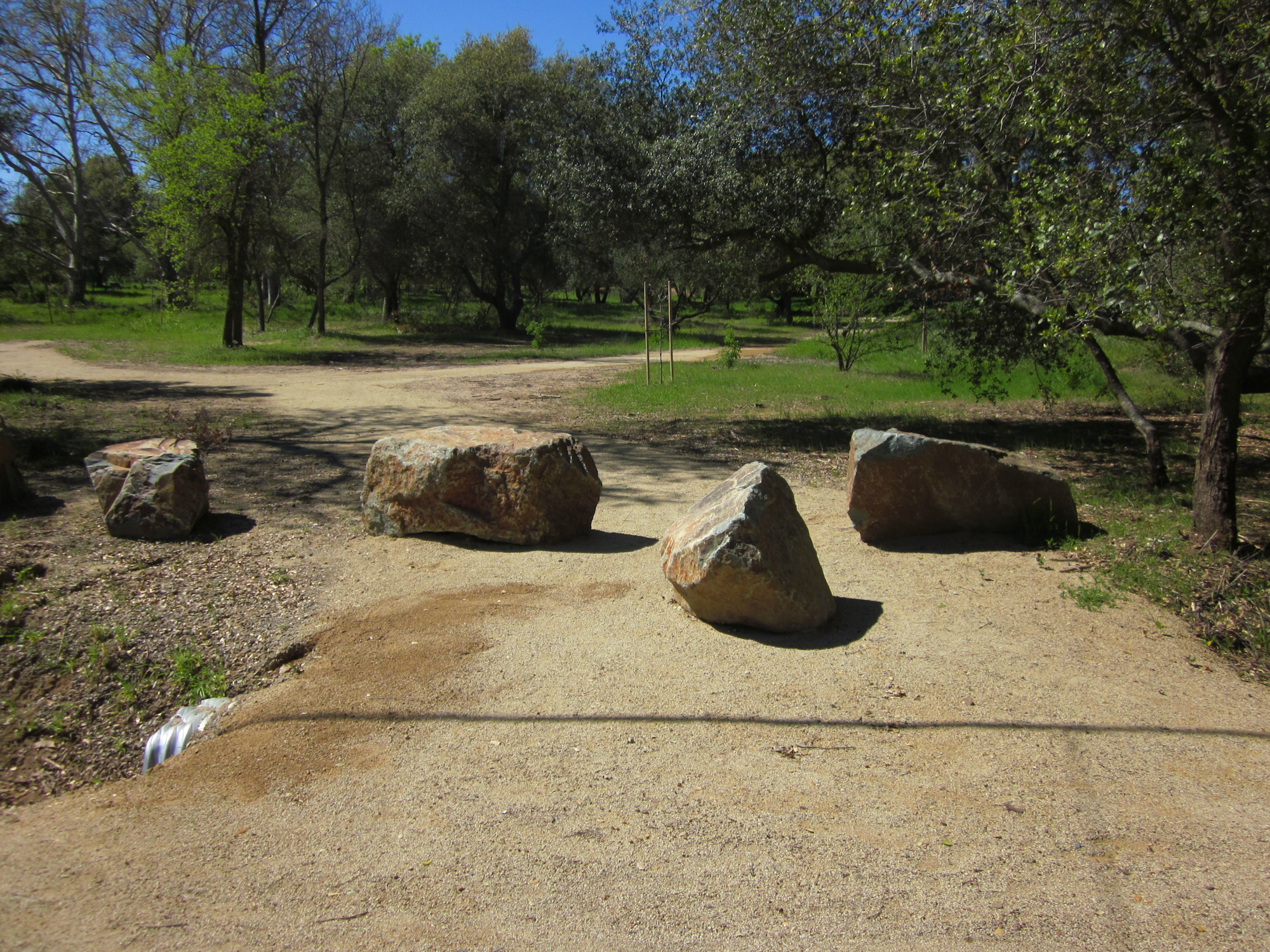 May contain: path, rock, gravel, road, tree, plant, ground, walkway, soil, vegetation, outdoors, and tree trunk