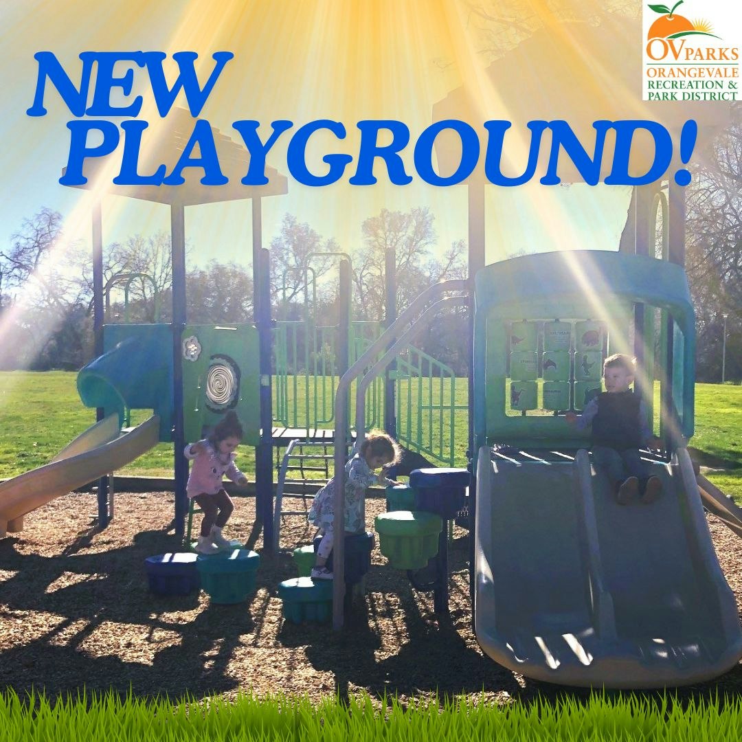 Children playing on a new playground with slides and climbing structures under sunny skies.