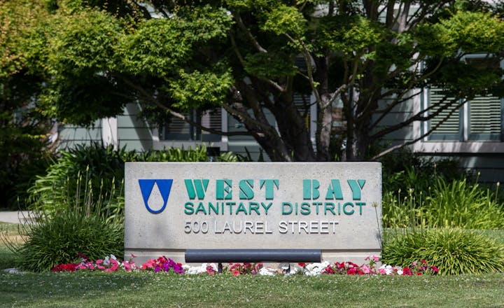 May contain: grass, plant, garden, nature, outdoors, tree, park, summer, vegetation, and lawn