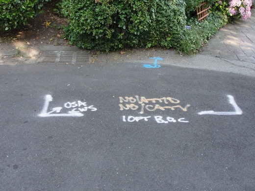May contain: road, tarmac, and path