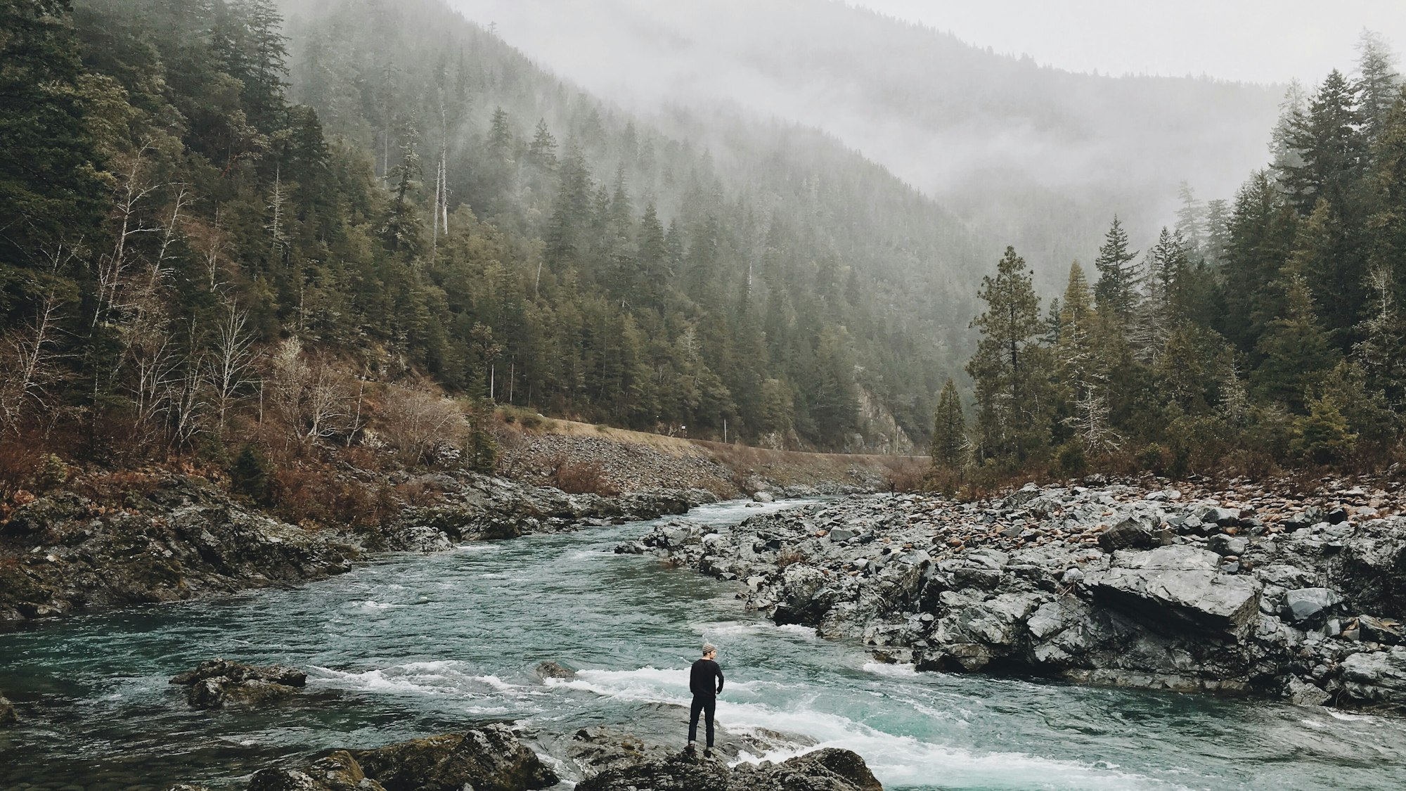 May contain: fir, tree, plant, wilderness, nature, outdoors, creek, water, stream, and person