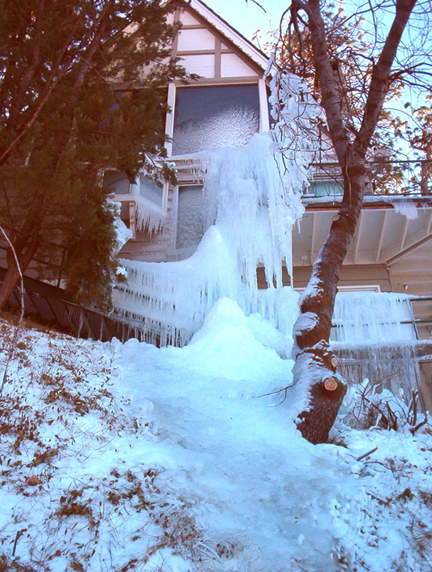 May contain: outdoors, ice, winter, nature, plant, tree, and snow