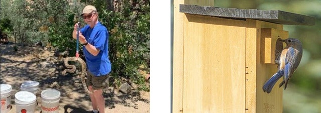 A person playing golf and a wooden birdhouse with a bird perched on it.