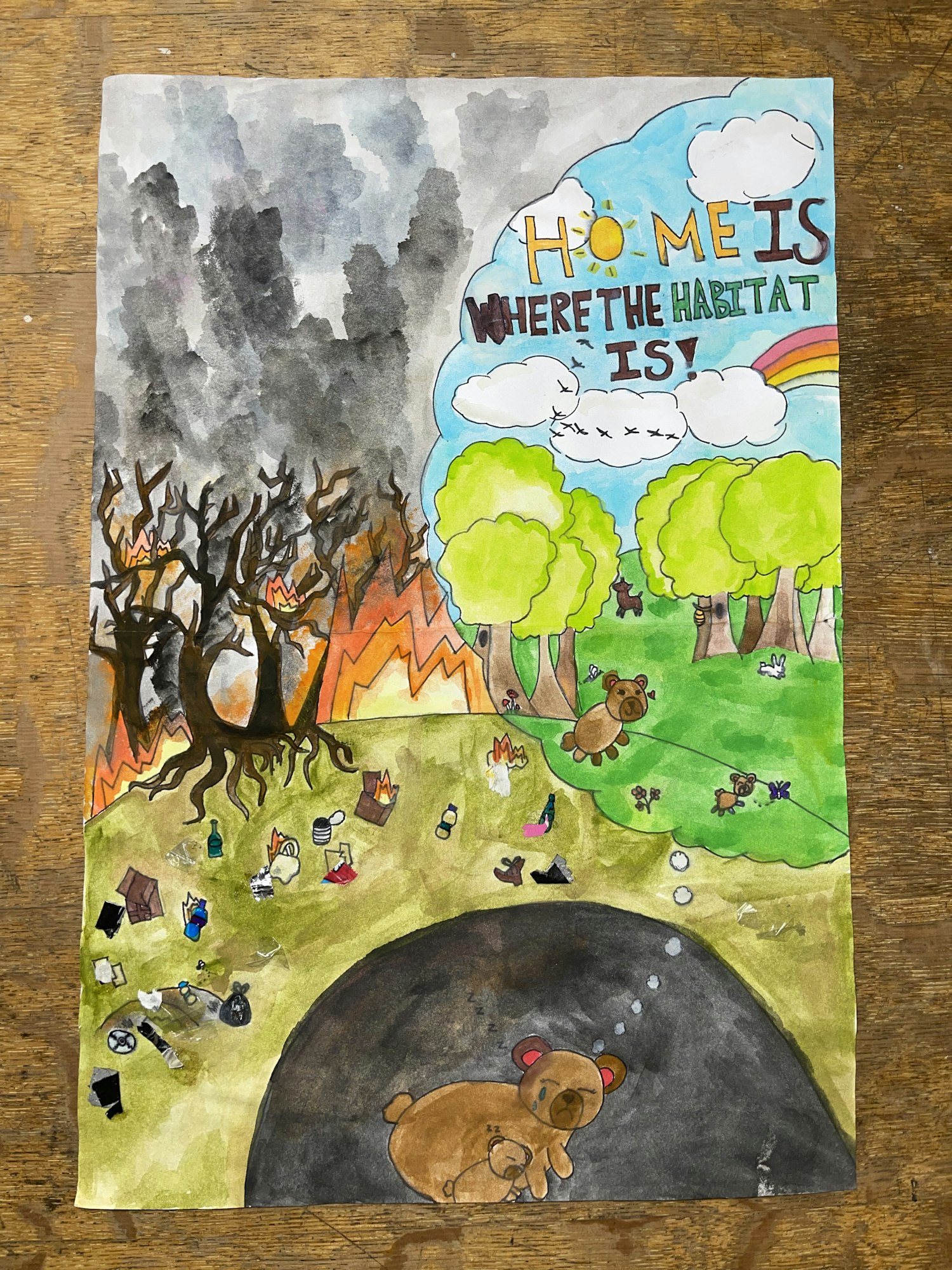 A colorful drawing contrasts nature's beauty and destruction, featuring animals, trees, and pollution, with the phrase "Home is where the habitat is."