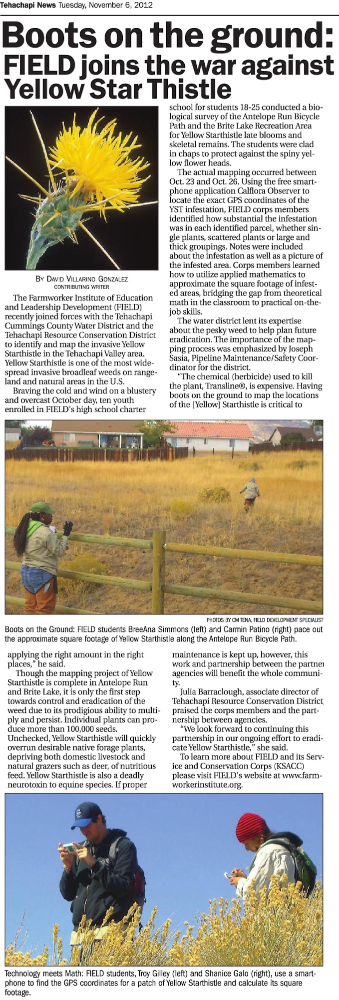 Newspaper article about students combating Yellow Star Thistle invasion, includes photos of them working in the field.