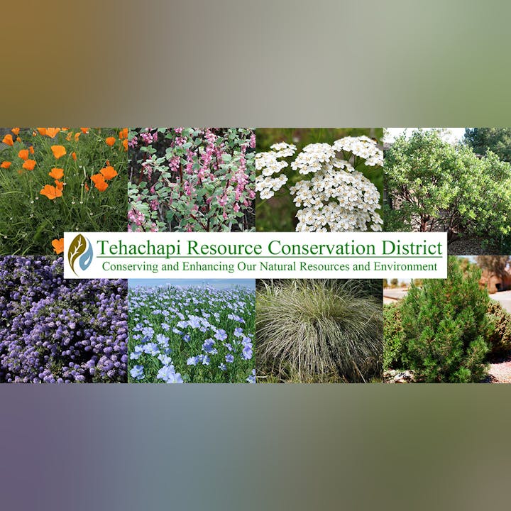 A collage of various plants and the logo for Tehachapi Resource Conservation District focused on natural resource conservation.