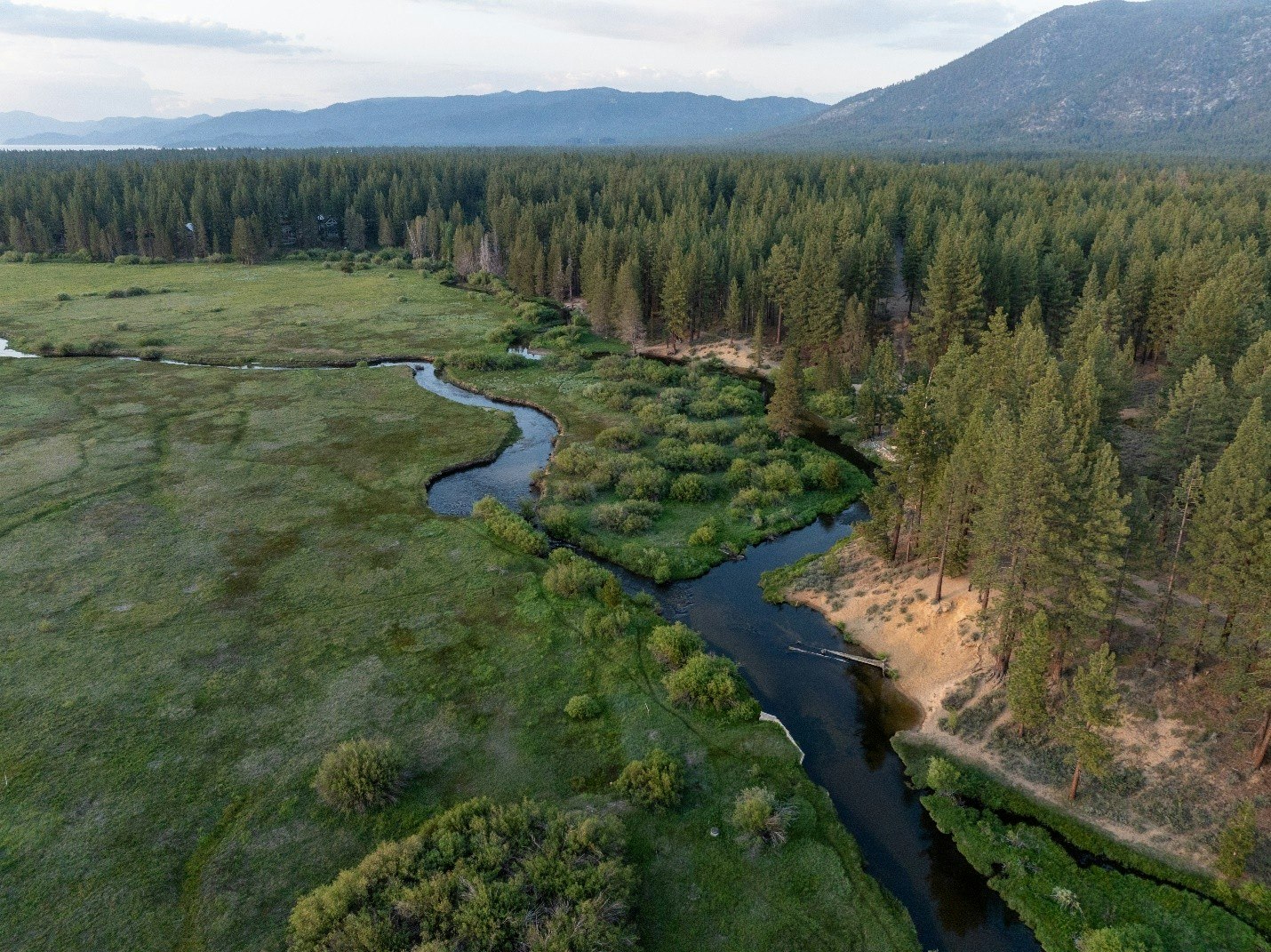 Aerial view of a winding river through a forest with mountains in the background.