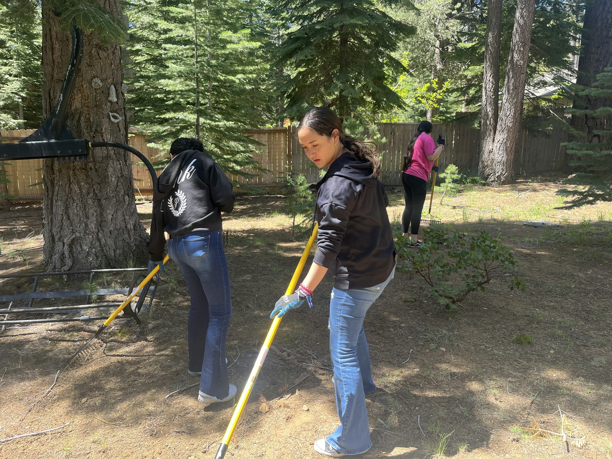 Three people raking leaves in a forested yard.