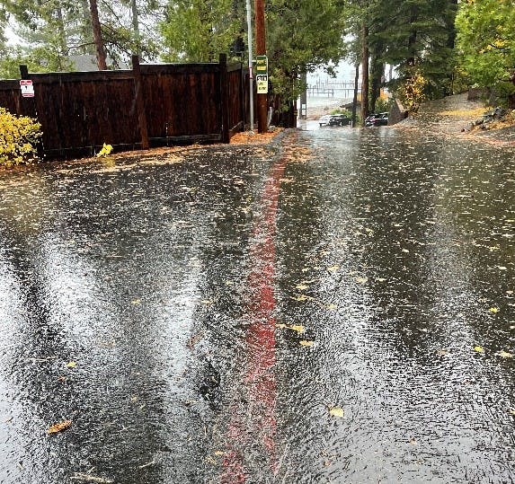 Wet road with puddles, lined with fallen leaves, a red line, trees, and a wooden fence. Overcast weather.