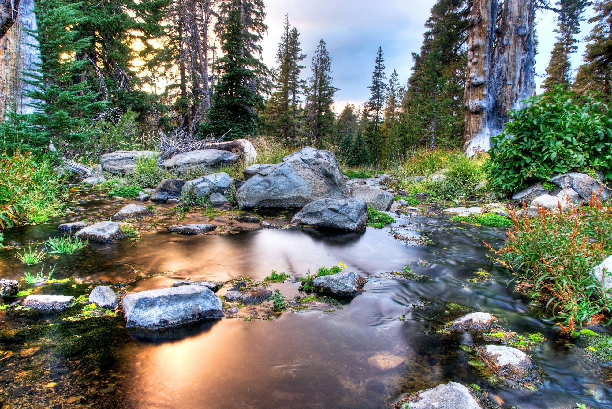 A tranquil forest scene with a flowing stream, rocks, and tall trees lit by the setting sun.