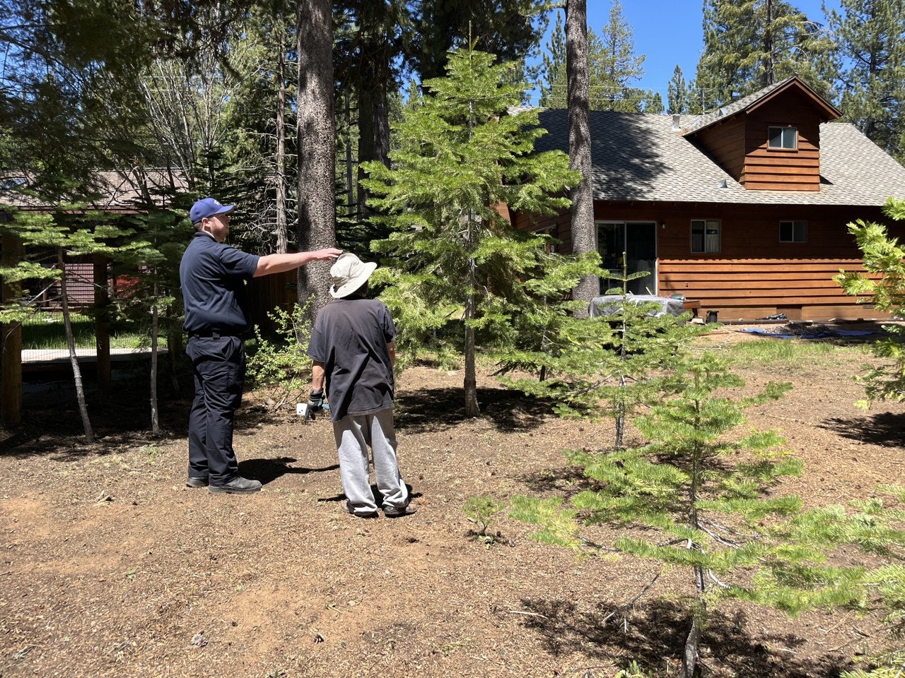 Two individuals are discussing something outdoors in a wooded area near a cabin, surrounded by young trees and clear blue sky.