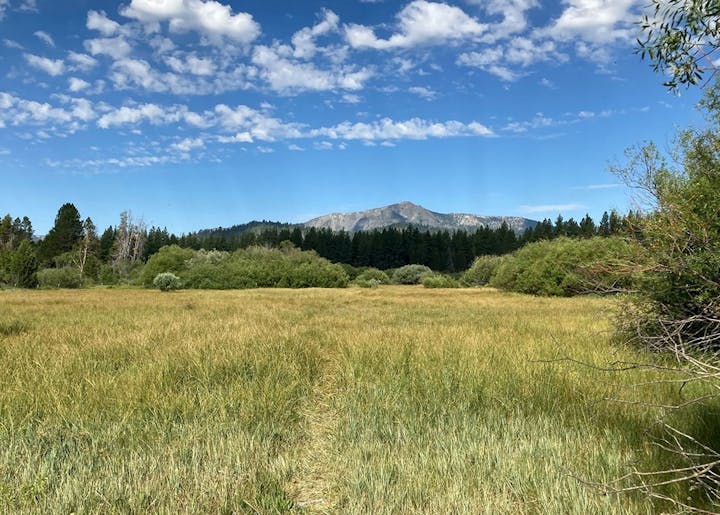A grassy field with trees in the background and a mountain under a partly cloudy sky.