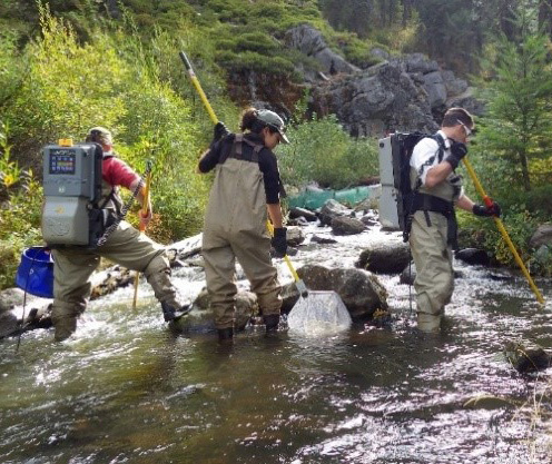 Three individuals in waders with equipment, crossing a stream, possibly conducting environmental research or surveying.