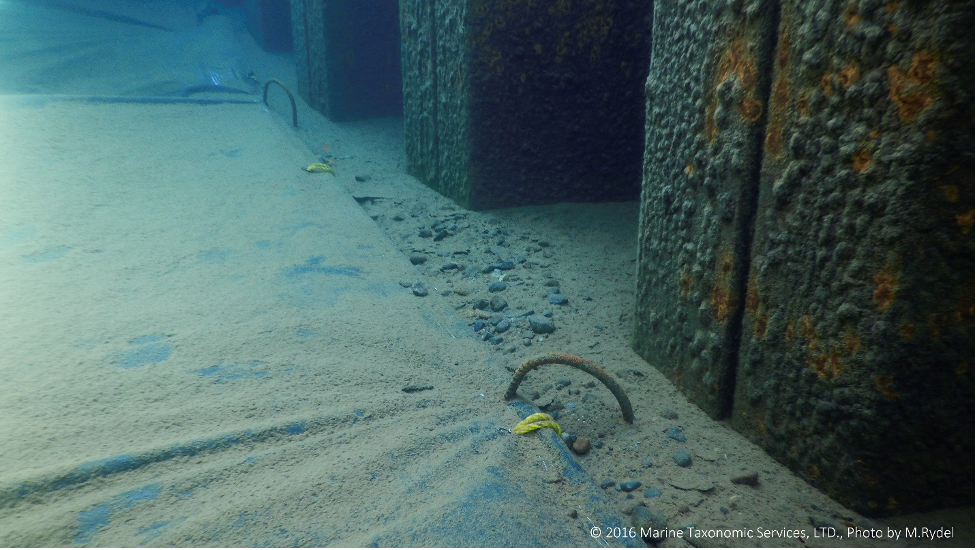 Underwater scene with sandy floor, rocks, metallic structures, and cables.
