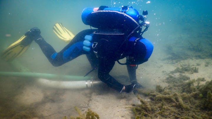 A scuba diver underwater using a suction hose on the seafloor.