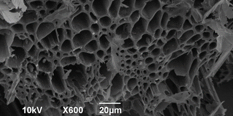 A magnified image (600x) of a porous material showing sponge-like structures, scale bar indicates 20 micrometers.