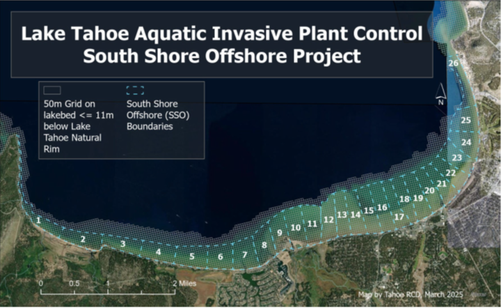 Map of Lake Tahoe showing a project area for aquatic invasive plant control with grid and boundary details for the south shore.