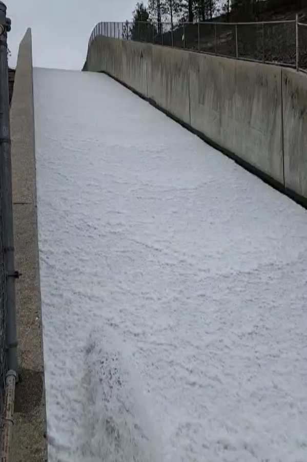 May contain: nature, outdoors, scenery, fir, plant, tree, and water