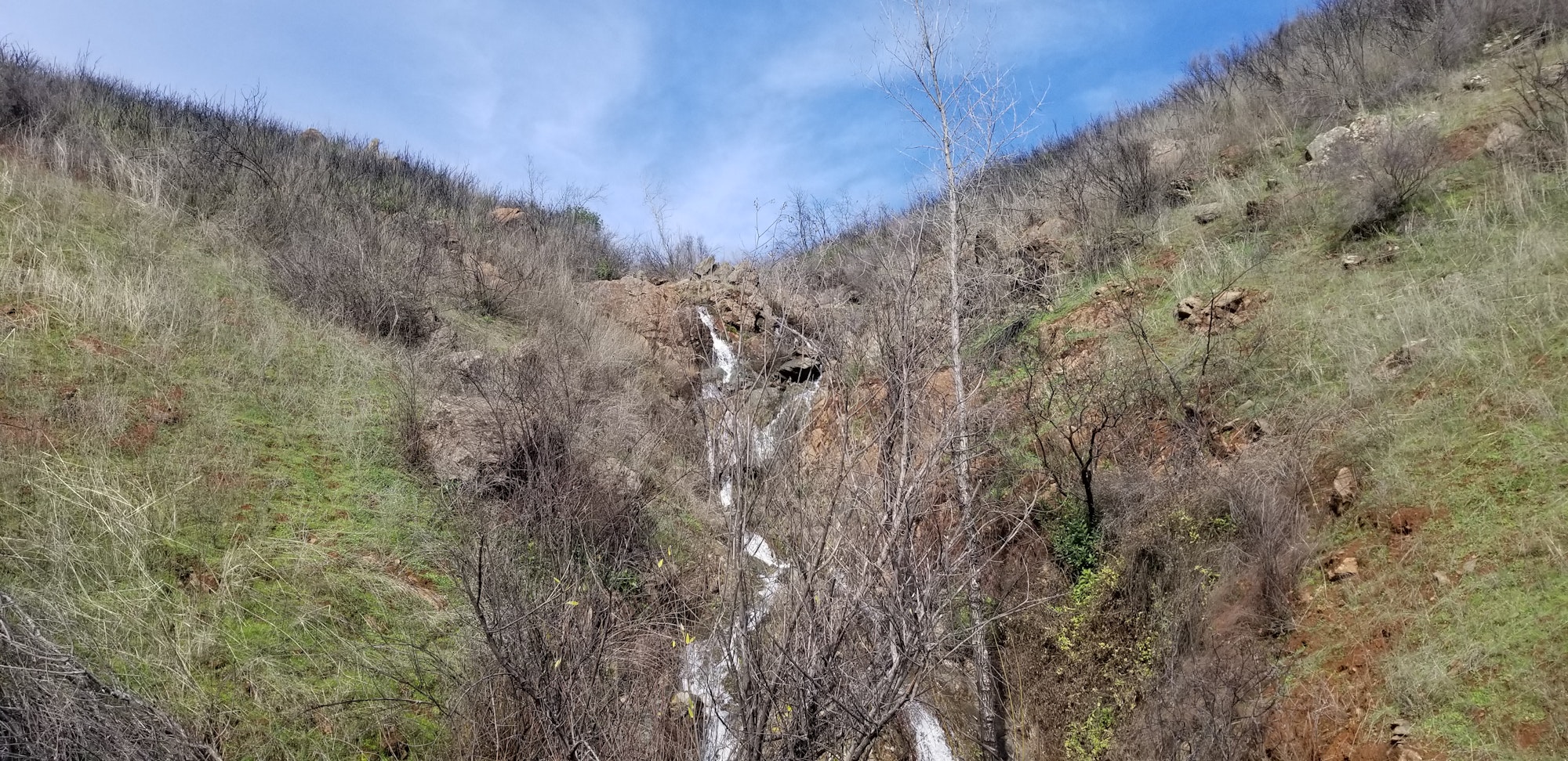 May contain: wilderness, outdoors, nature, slope, vegetation, plant, tree, and scenery