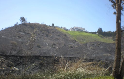 May contain: slope, outdoors, grassland, field, and nature