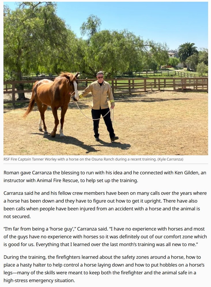 Firefighters train with horses at Osuna Ranch to learn safety and rescue techniques, improving emergency response skills.