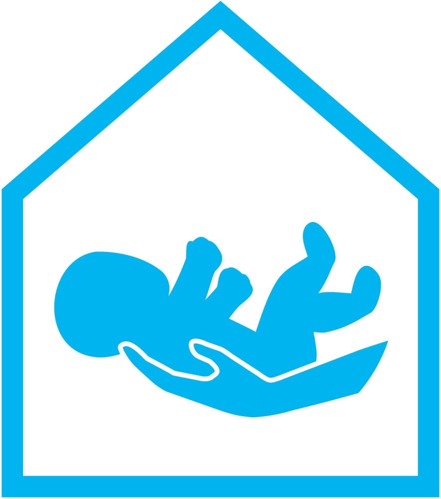 A blue icon of a hand supporting an infant inside a house outline.