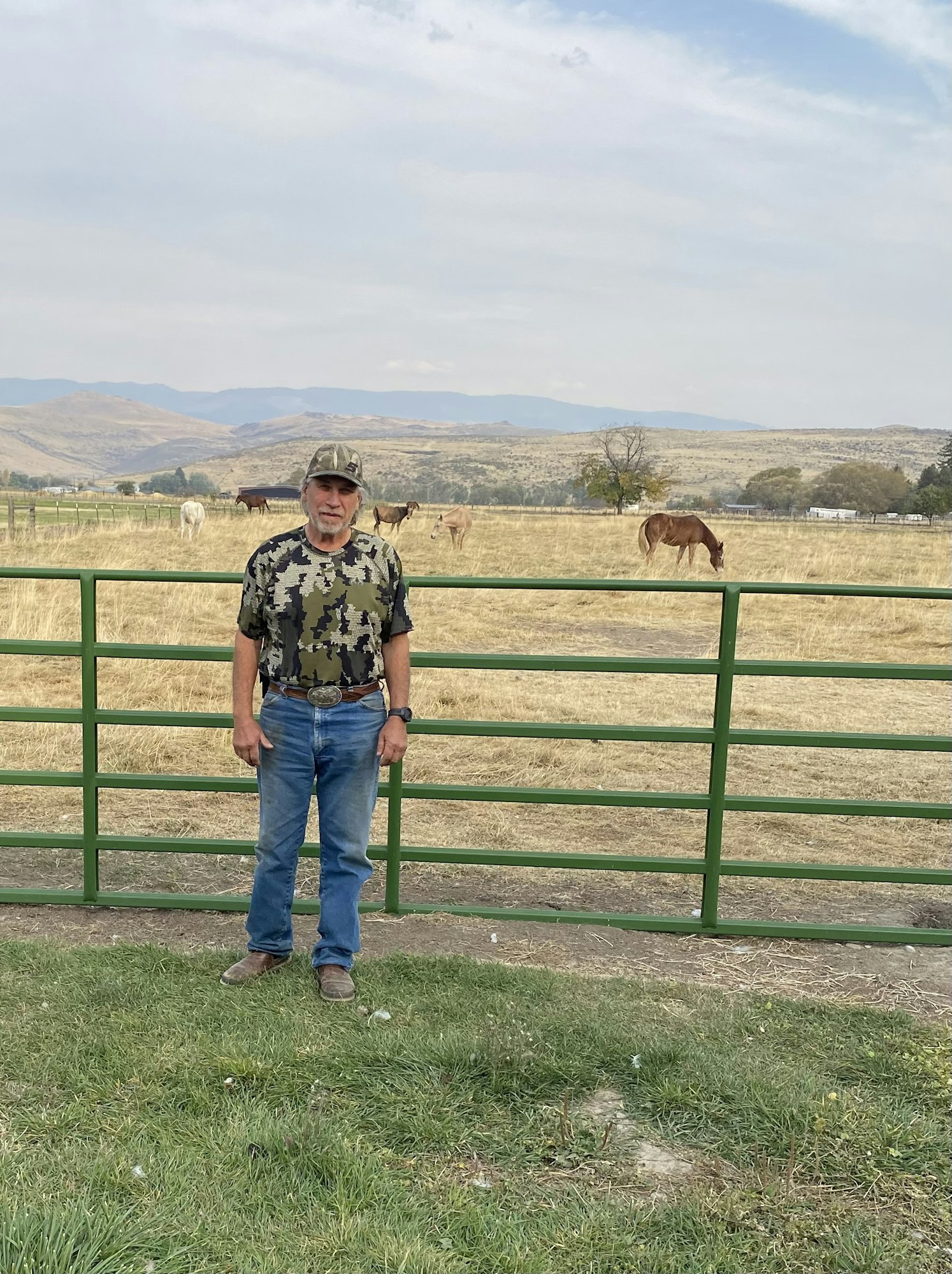 A man in camo clothing stands near a green fence in a field with horses and mountains in the background.