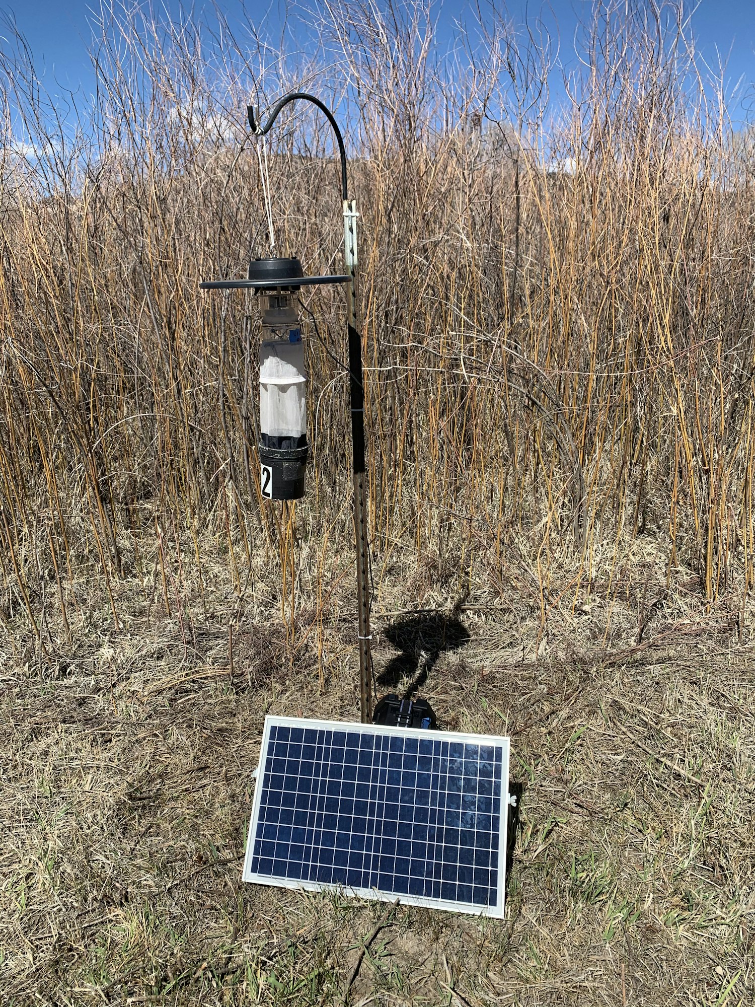 Mosquito Trap