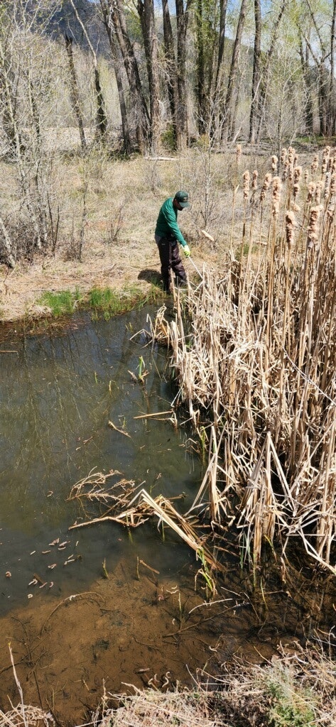 May contain: land, nature, outdoors, wilderness, plant, vegetation, pond, water, grove, tree, woodland, photography, clothing, glove, swamp, adult, male, man, person, reed, soil, jungle, face, head, portrait, grass, fishing, and leisure activities