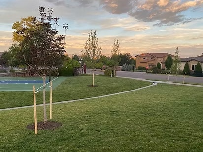 A grassy park with young trees by a house and a basketball court under a sunset sky.