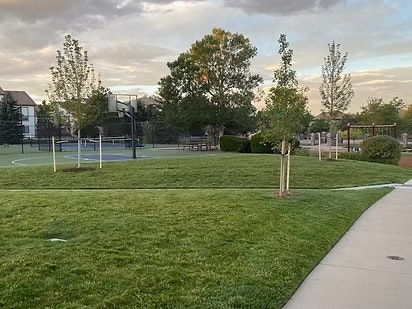 Park with a grassy area, a basketball court, trees, and a walkway under a cloudy sky.