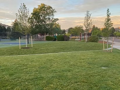 A grassy park with trees, a playground, and a tennis court in the background.