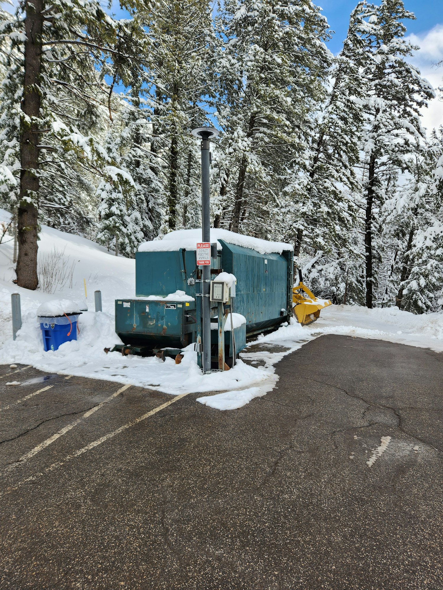 Snow-covered trees, dumpster, recycling bins, and snow on the ground with a partly cloudy sky. (Image is rotated 90 degrees).