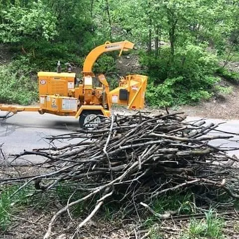 A large pile of tree branches and sticks is placed near the roadside, ready to be processed by a yellow wood chipper parked nearby. The area is surrounded by dense green trees and foliage.
