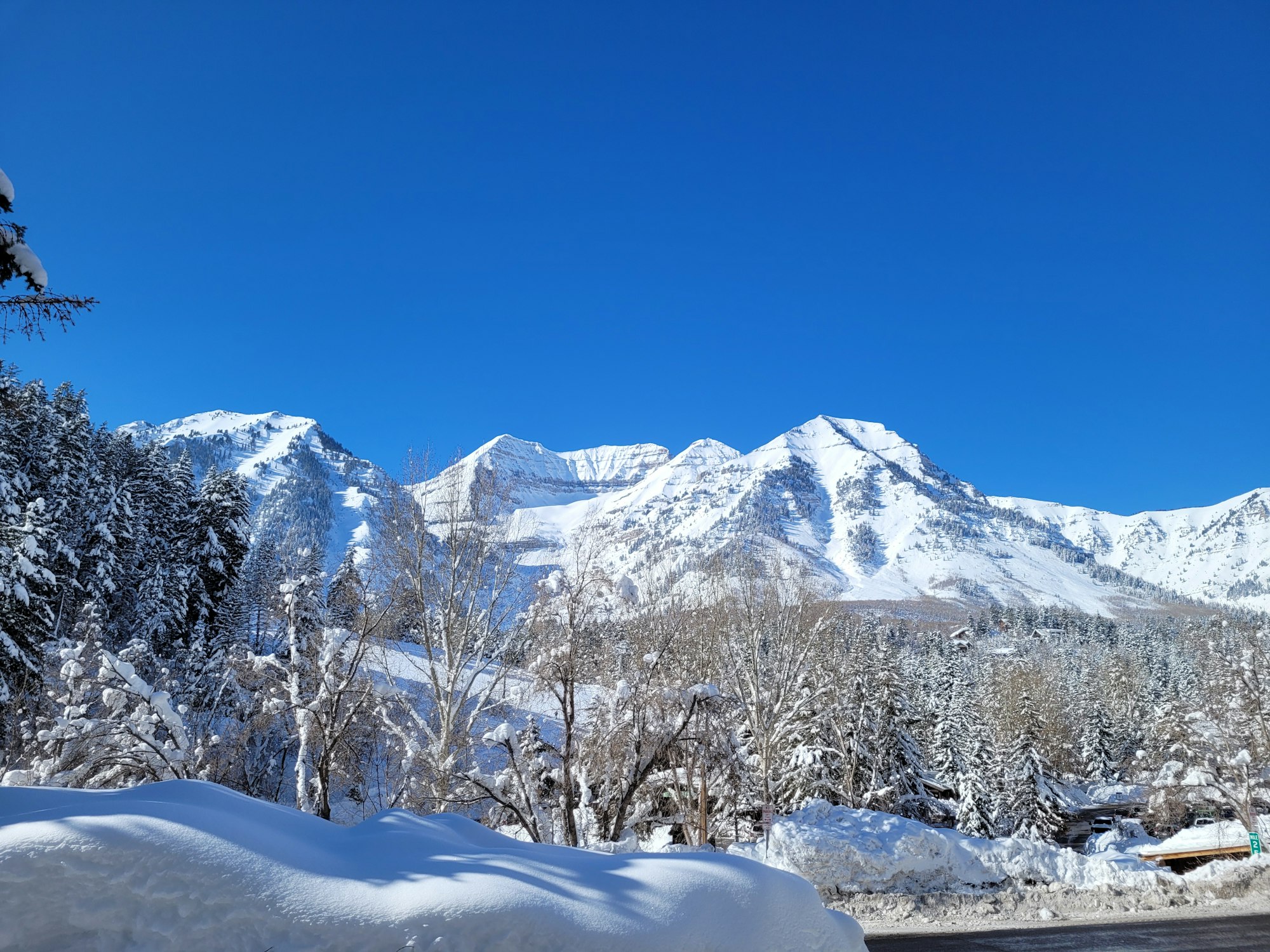 Snow-covered mountains with trees and a clear blue sky.