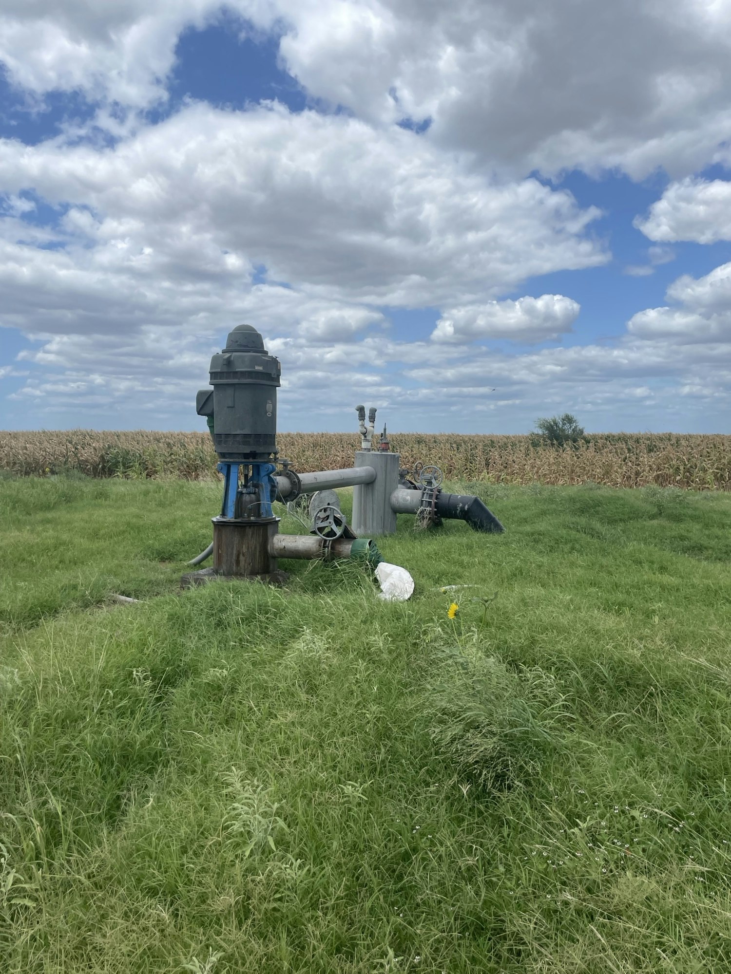 Grassy field with a person, equipment, and blue sky with clouds. (Image is rotated to the right)
