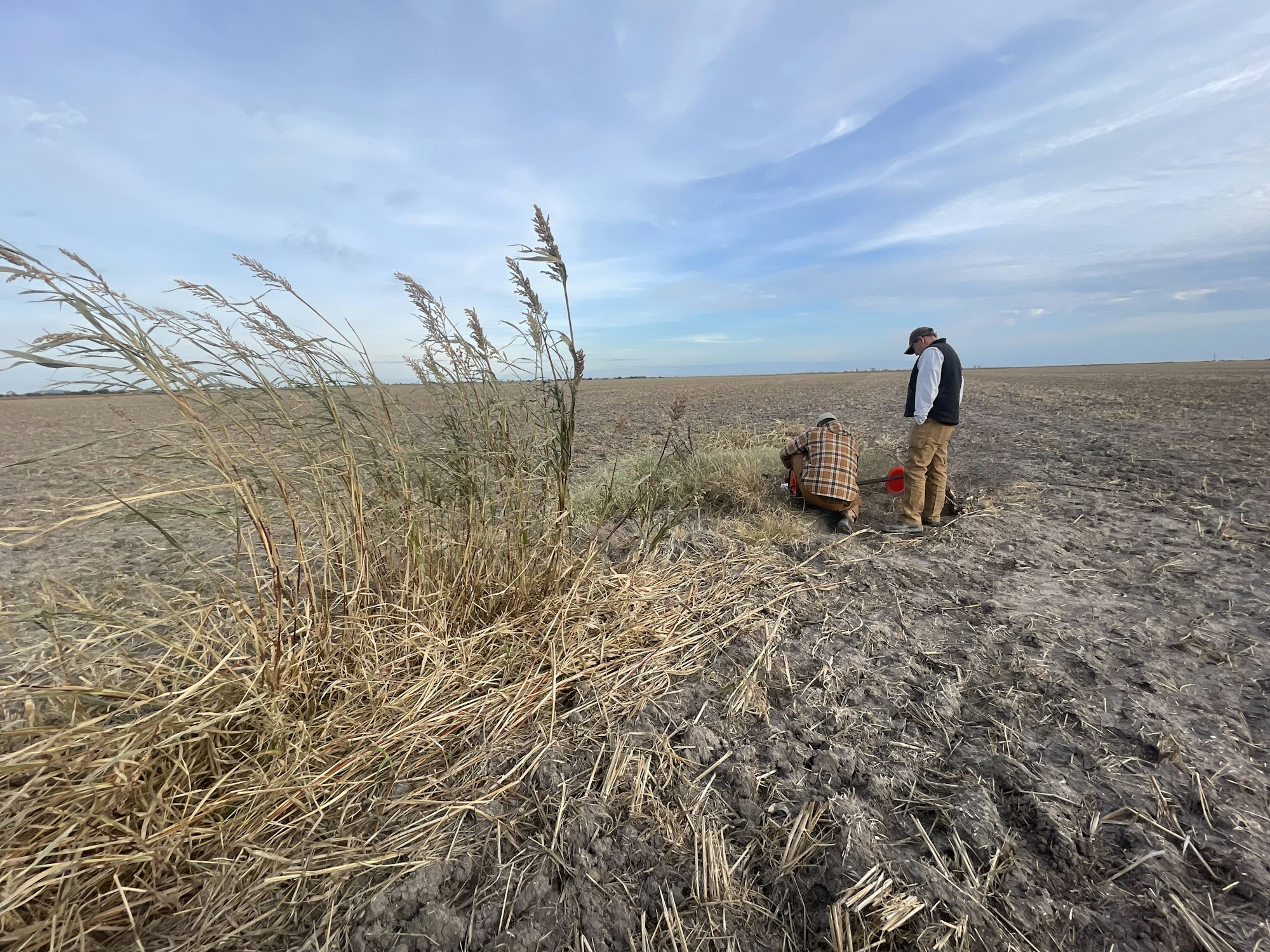 Two people examining dry vegetation in a vast, open field under a blue sky.