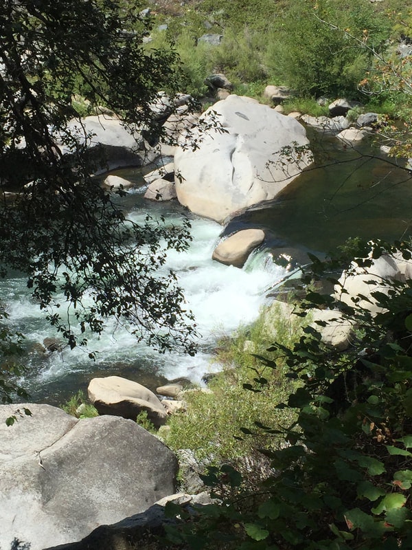 A stream flowing over rocks with surrounding greenery.