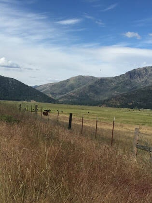 A fence in a grassy field with mountains in the background under a blue sky.