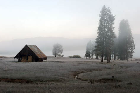 A foggy landscape with a rustic barn, scattered trees, and a winding path through a frosty field.