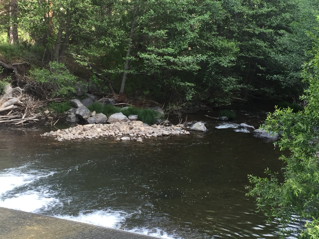 May contain: plant, rock, vegetation, grove, land, nature, outdoors, tree, woodland, wilderness, jungle, green, rainforest, pond, water, landscape, creek, stream, scenery, and path
