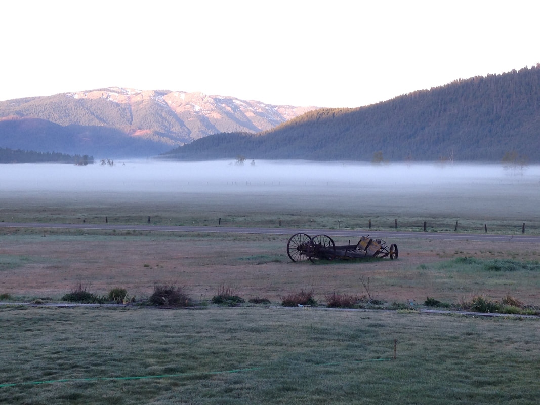 Rolling hills, early morning mist, an old farm implement, and a distant mountain range under a clear sky.
