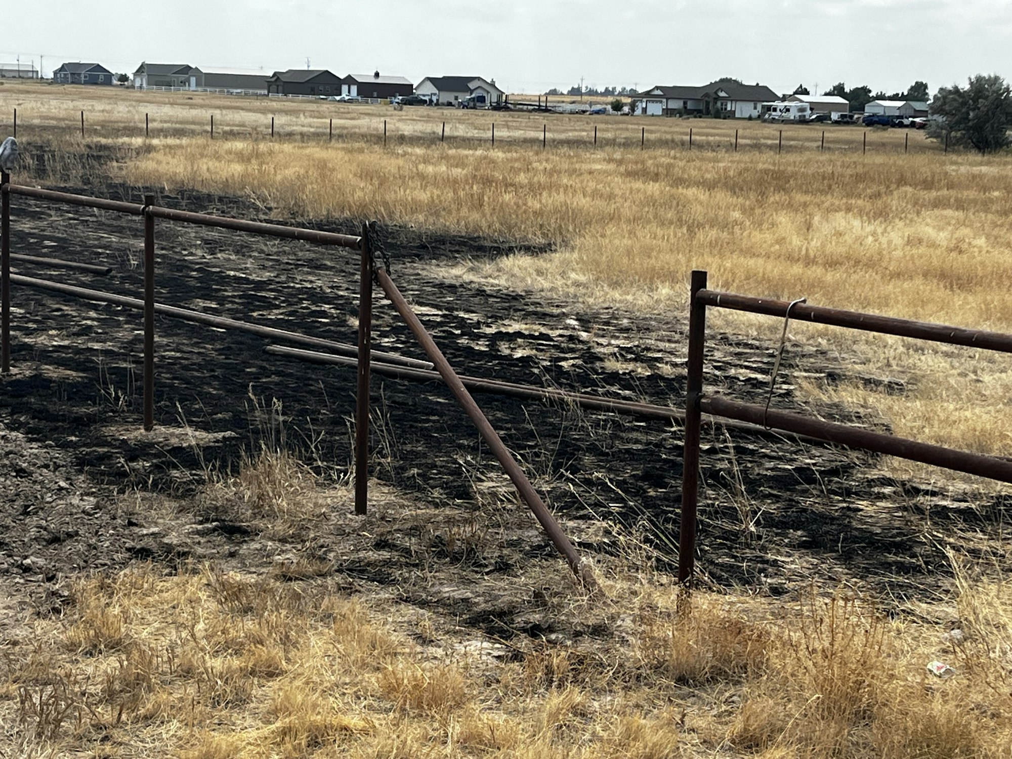 A rural landscape with dry grass, a fenced area, and some blackened ground, indicating possible recent burning. Houses are visible in the distance.