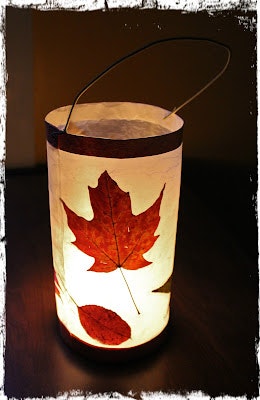 May contain: leaf, plant, lamp, lantern, and tree