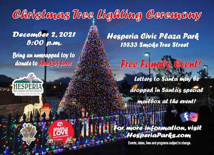 May contain: tree, plant, christmas tree, ornament, poster, and advertisement