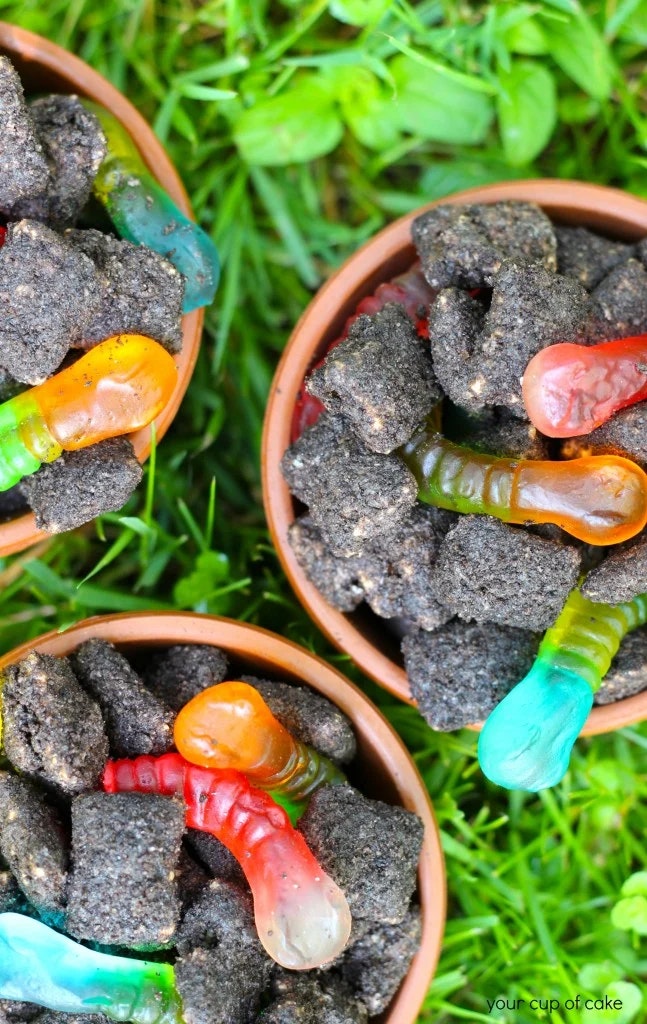 Dirt puppy chow