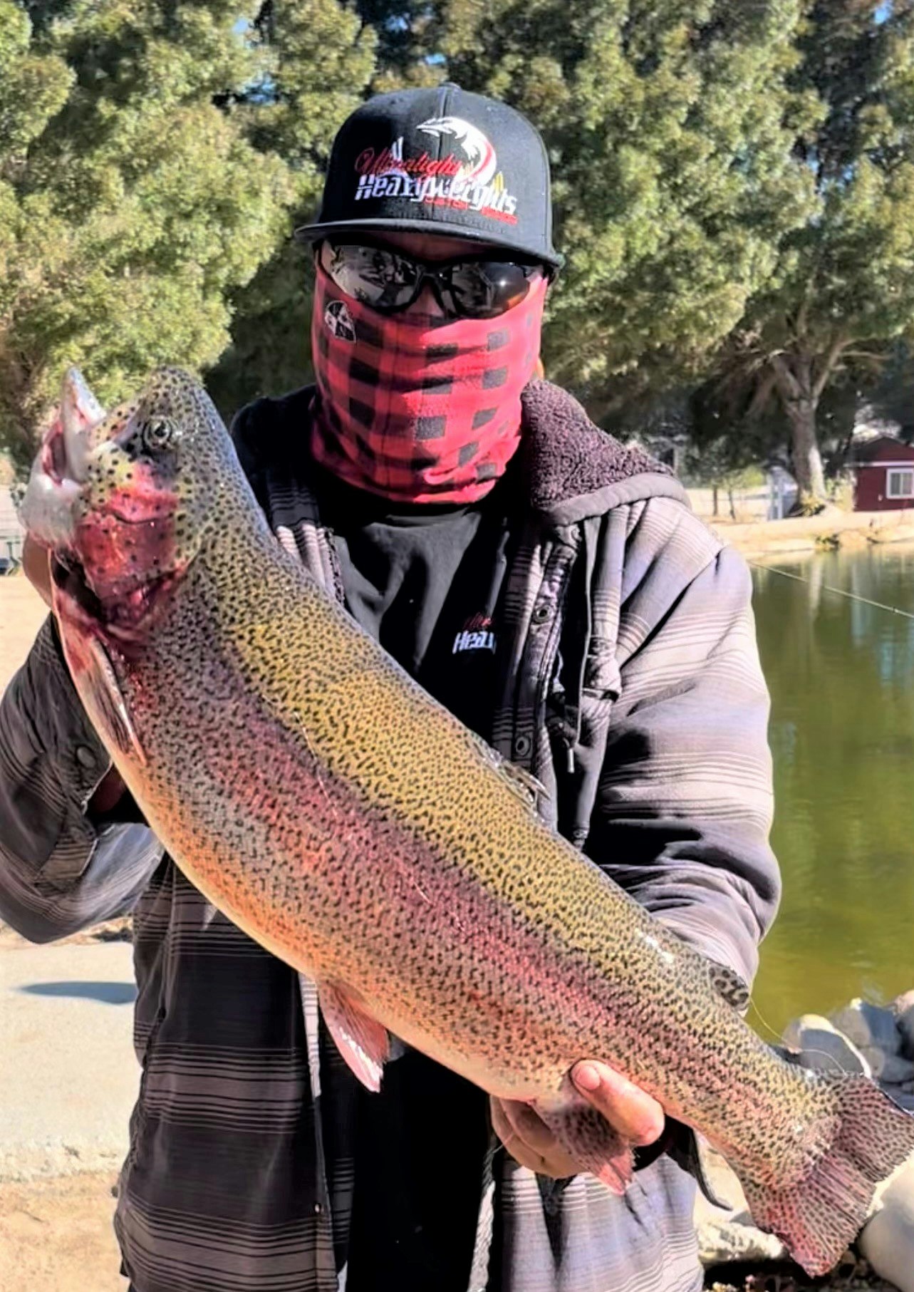 May contain: trout, fish, sea life, and animal