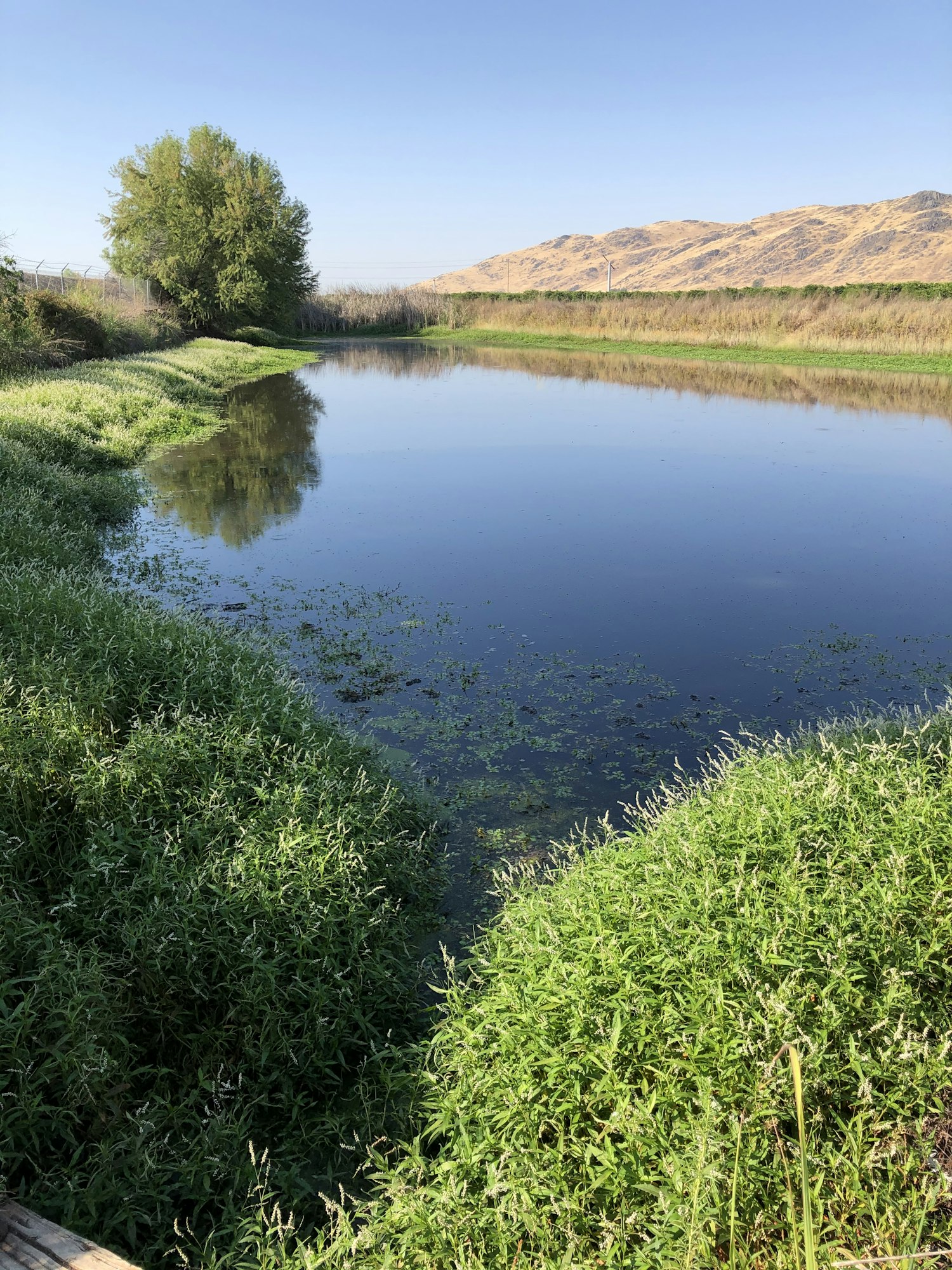 A tranquil landscape featuring a calm river, lush greenery, and distant hills under a clear blue sky.