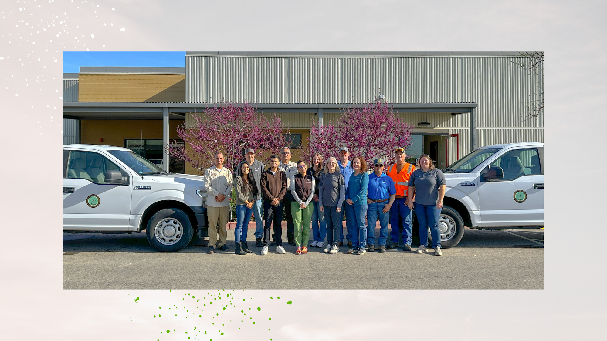 A group of people standing between two white trucks, with purple flowering trees and a building in the background.