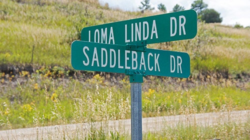 Street signs: "LOMA LINDA DR" & "SADDLEBACK DR" at an intersection with grassy background.